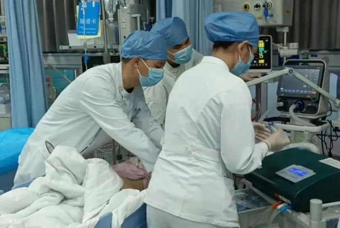 喝完鸡汤，一家6口全部中毒！只因放了这种“药材”→